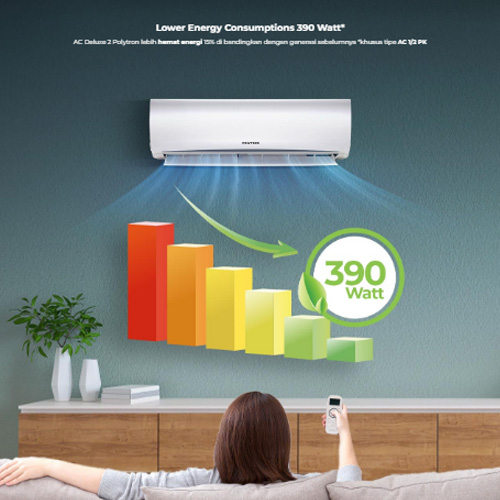Polytron AC Wall Mounted Split Standard Deluxe 2 2 1/2 PK - PAC24VH